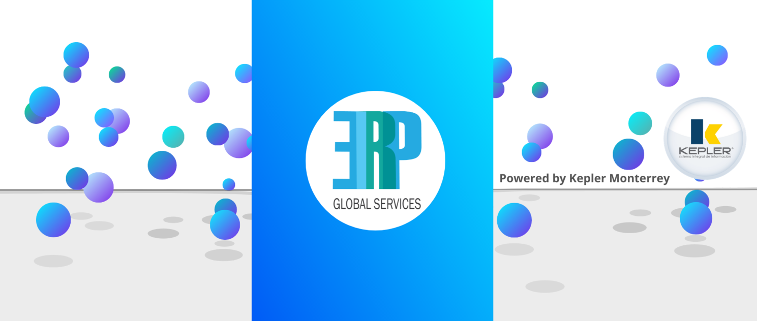 ERP Global Services